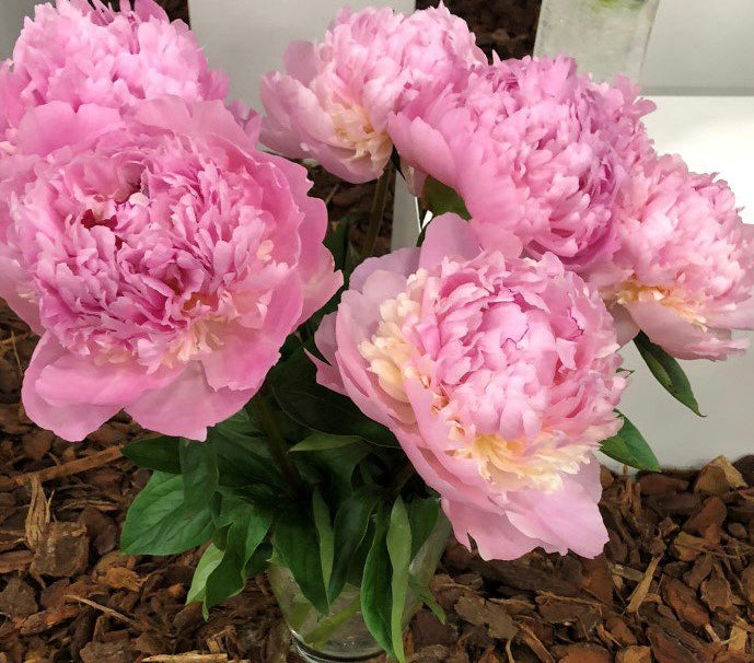 2025 Peony Subscription